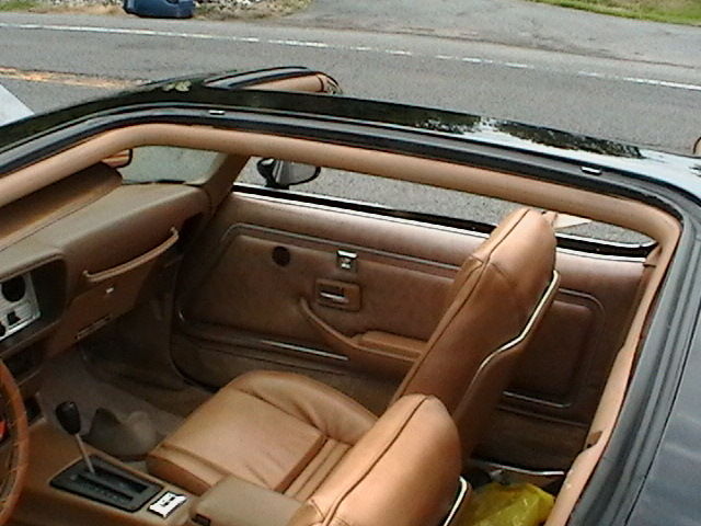 1979 Pontiac Trans Am T-tops - photo 10