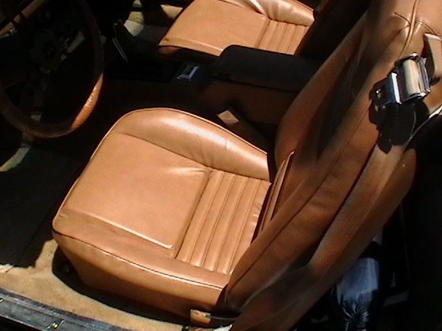 1979 Pontiac Trans Am T-tops - photo 11