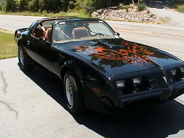 1979 Pontiac Trans Am T-tops - photo 3