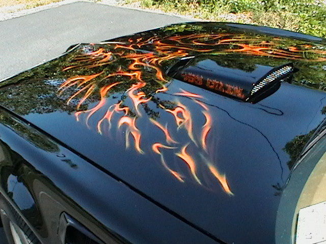 1979 Pontiac Trans Am T-tops - photo 5