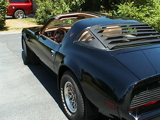 1979 Pontiac Trans Am T-tops - photo 7