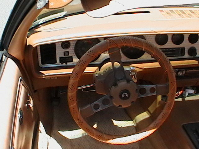 1979 Pontiac Trans Am T-tops - photo 8