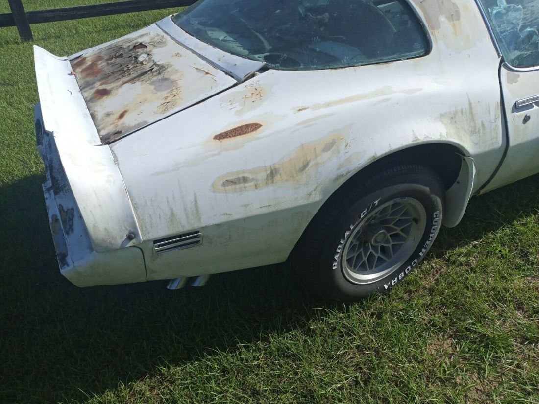 1979 Pontiac Trans Am - photo 2