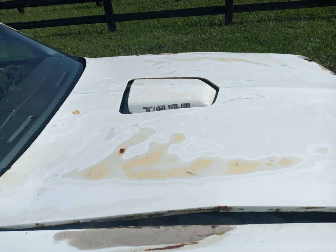 1979 Pontiac Trans Am - photo 3