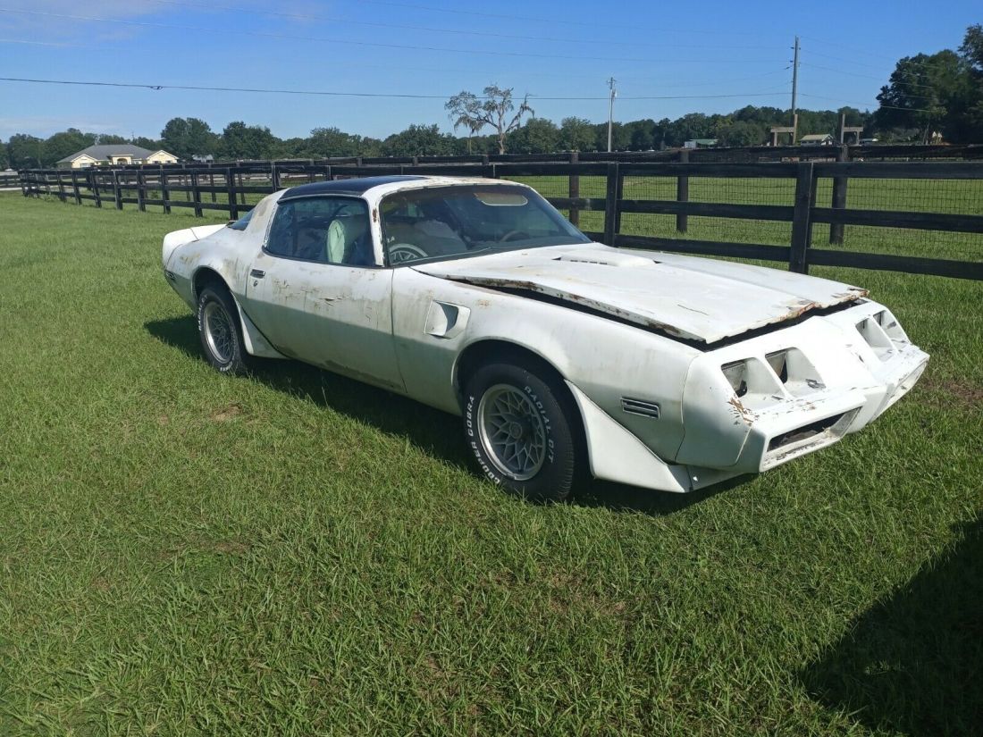 1979 Pontiac Trans Am - photo 4