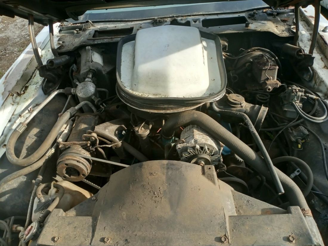 1979 Pontiac Trans Am - photo 6