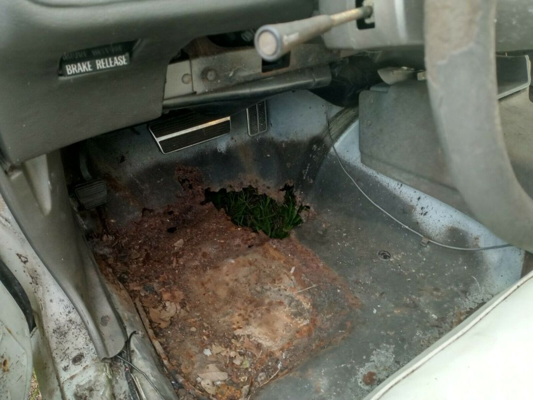 1979 Pontiac Trans Am - photo 7