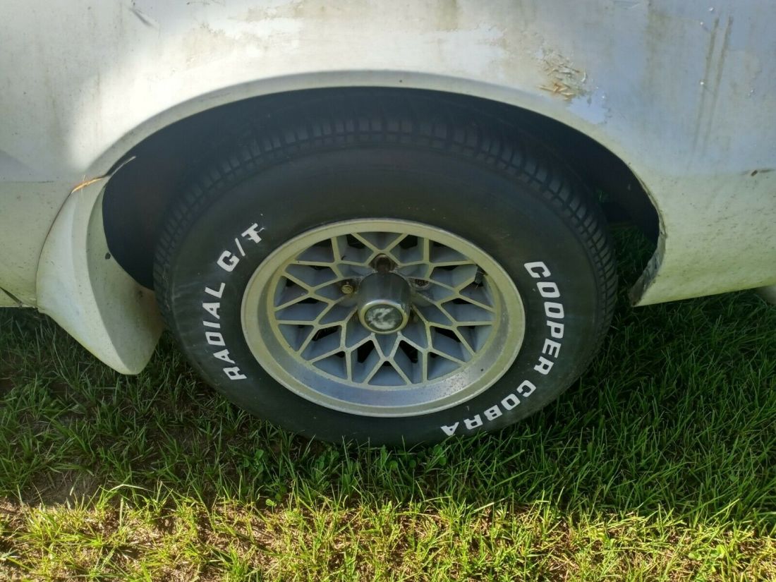 1979 Pontiac Trans Am - photo 8