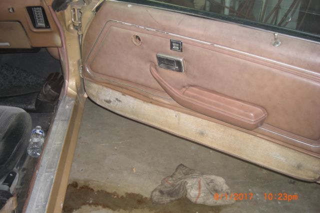 1979 Pontiac Trans Am - photo 11
