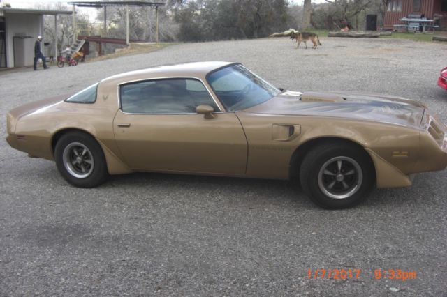1979 Pontiac Trans Am - photo 5