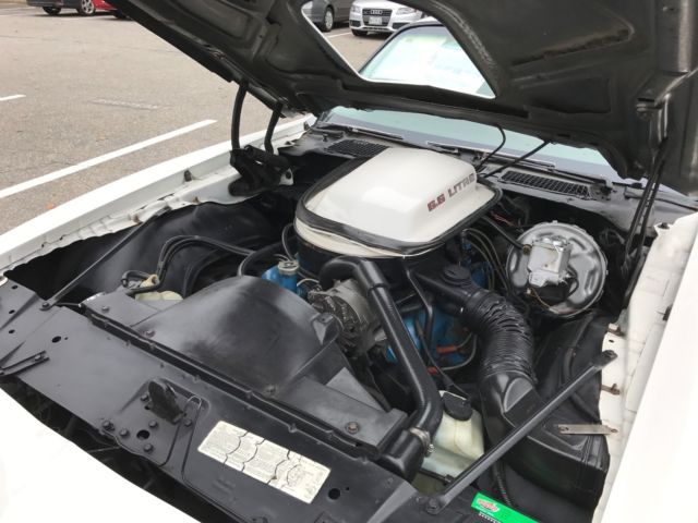 1979 Pontiac Trans Am Trans Am - photo 13