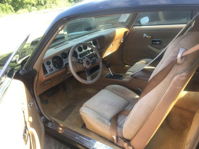 1979 Pontiac Trans Am Trans Am - photo 6