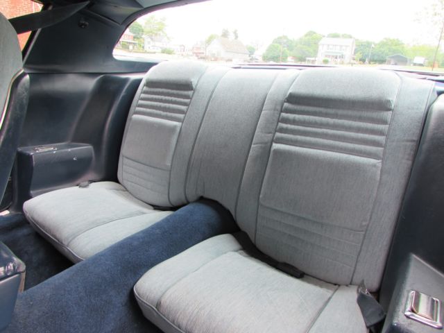 1979 Pontiac Trans Am - photo 11