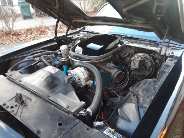 1979 Pontiac Trans Am - photo 7