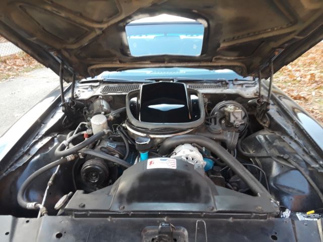 1979 Pontiac Trans Am - photo 8
