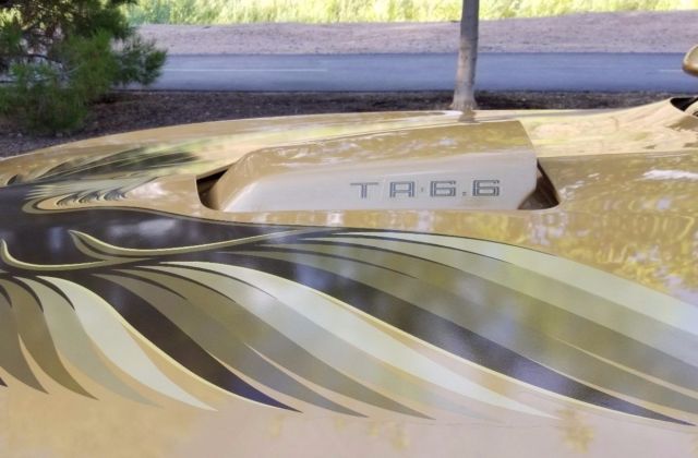 1979 Pontiac Trans Am SE - photo 11