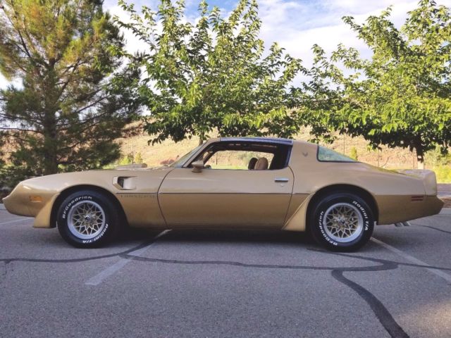 1979 Pontiac Trans Am SE - photo 3