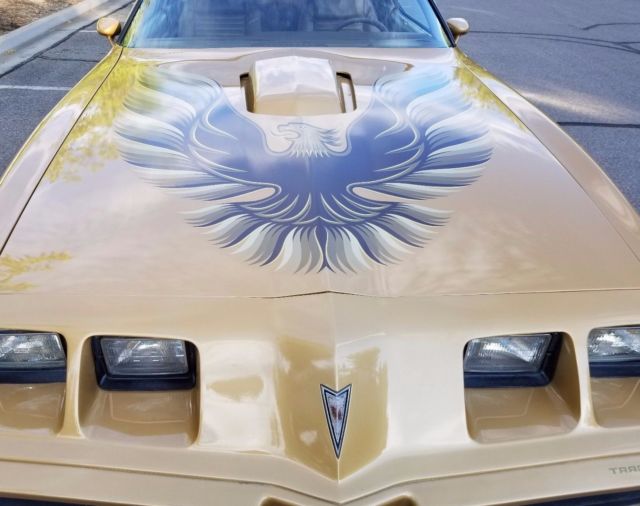 1979 Pontiac Trans Am SE - photo 6