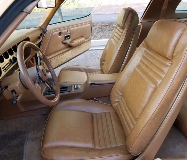 1979 Pontiac Trans Am SE - photo 8