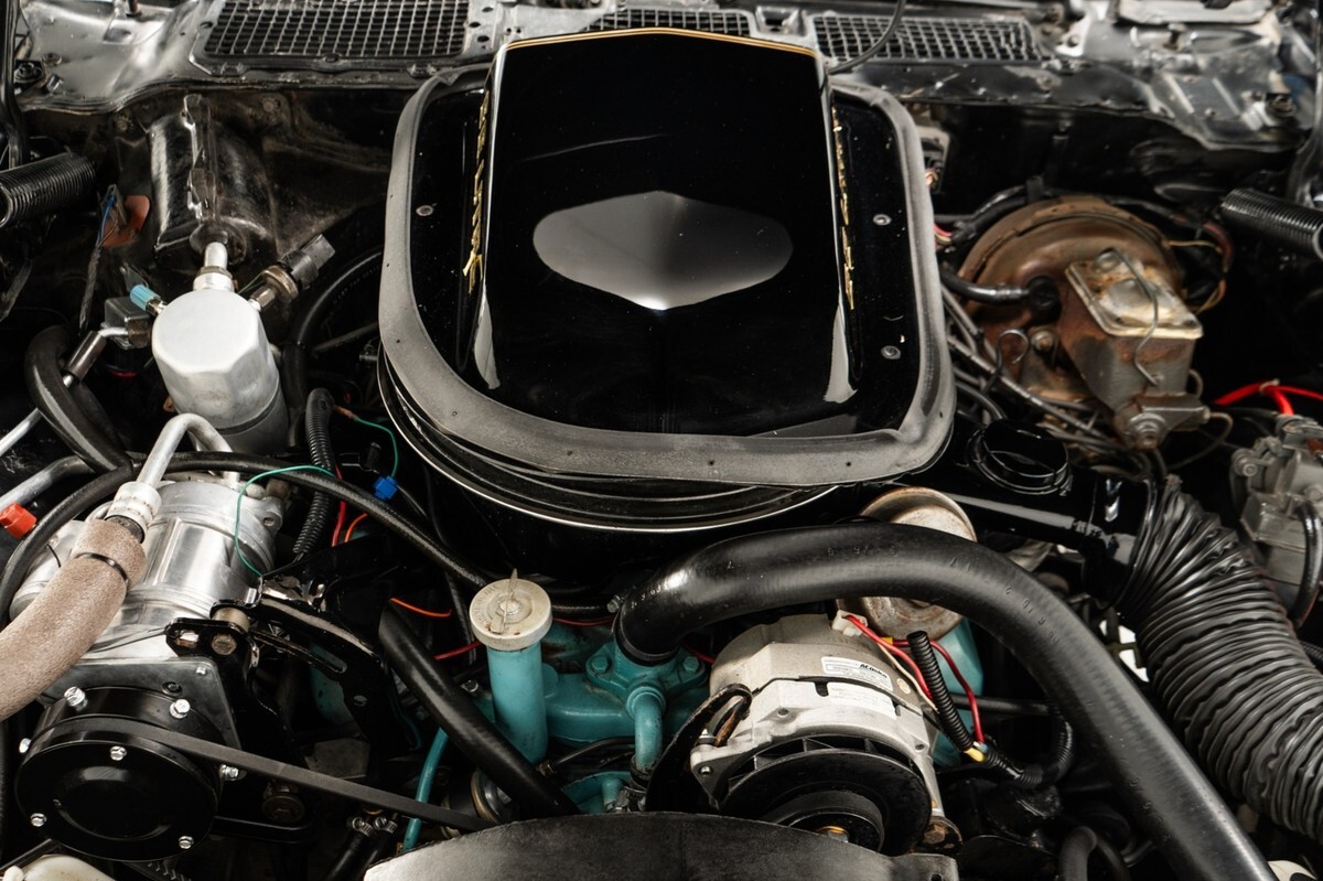 1979 Pontiac Trans Am SE Bandit - photo 11