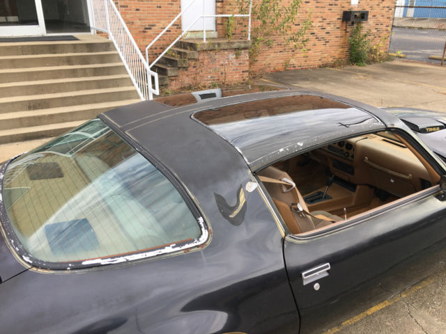 1979 Pontiac Trans Am SE - photo 10