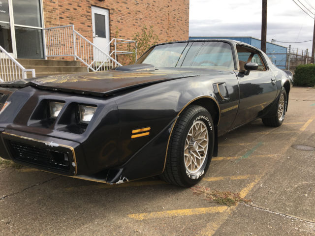 1979 Pontiac Trans Am SE - photo 12