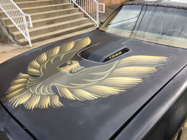 1979 Pontiac Trans Am SE - photo 4