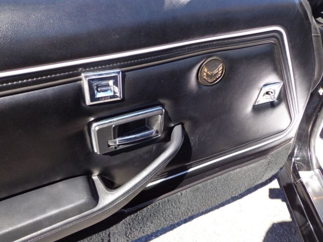 1979 Pontiac Trans Am SPECIAL EDITION PACKAGE - photo 12