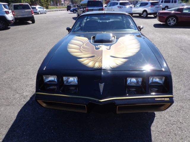 1979 Pontiac Trans Am SPECIAL EDITION PACKAGE - photo 3