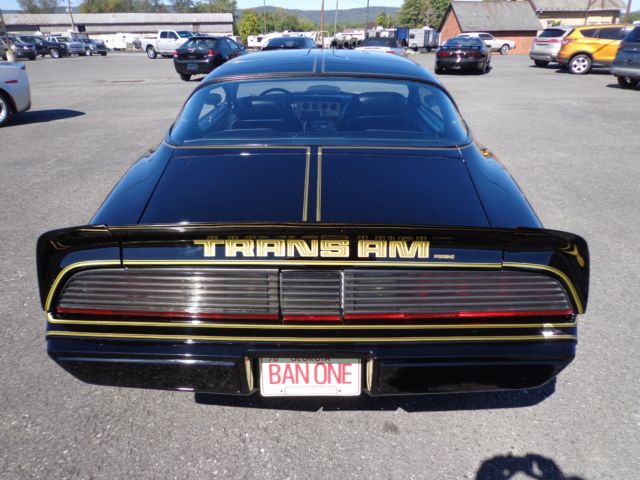 1979 Pontiac Trans Am SPECIAL EDITION PACKAGE - photo 6