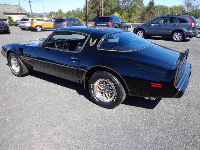 1979 Pontiac Trans Am SPECIAL EDITION PACKAGE - photo 7