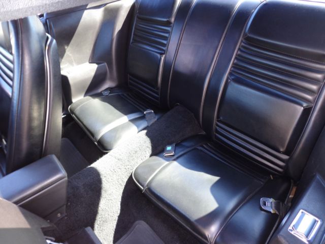 1979 Pontiac Trans Am SPECIAL EDITION PACKAGE - photo 9