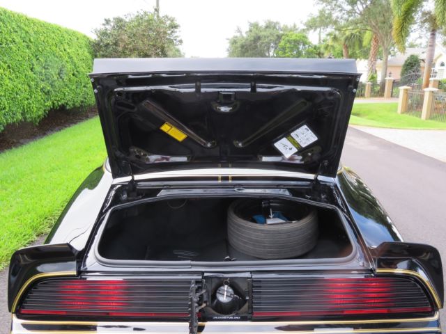 1979 Pontiac Trans Am SE Y84 - photo 10