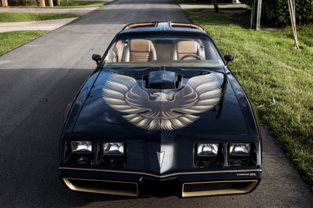 1979 Pontiac Trans Am SE Y84 - photo 12