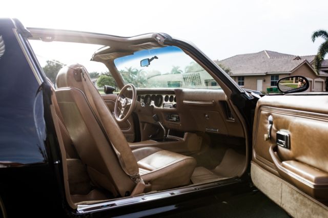 1979 Pontiac Trans Am SE Y84 - photo 13