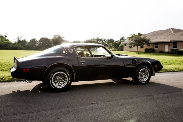 1979 Pontiac Trans Am SE Y84 - photo 6