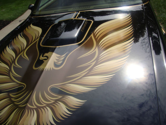 1979 Pontiac Trans Am - photo 9