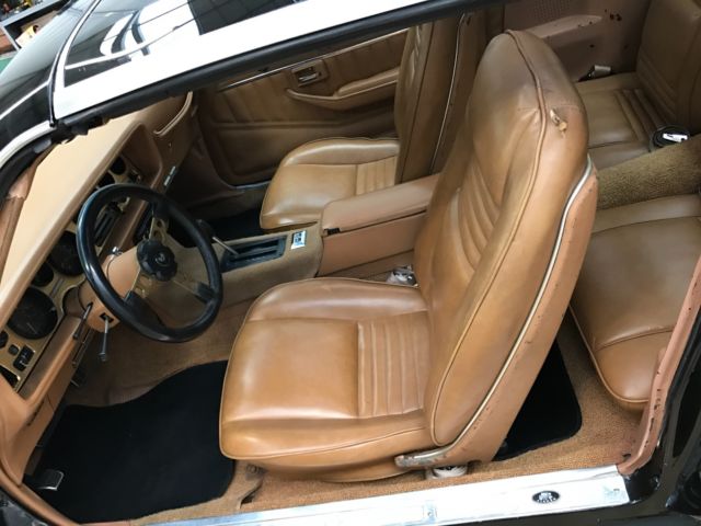 1979 Pontiac Trans Am - photo 10