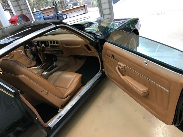 1979 Pontiac Trans Am - photo 13