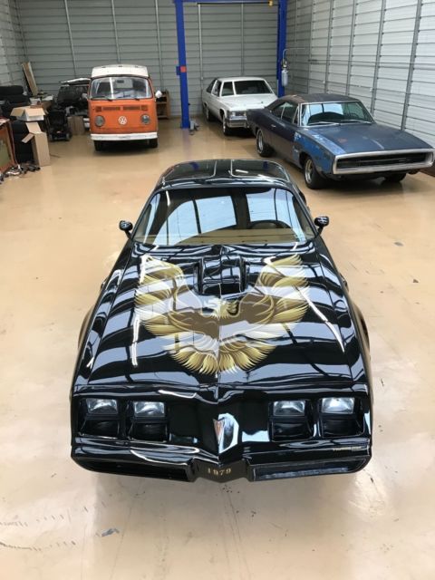 1979 Pontiac Trans Am - photo 2