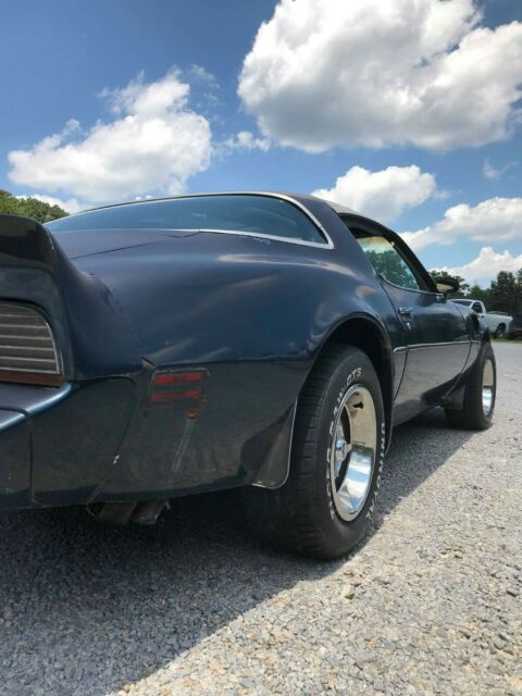 1979 Pontiac Trans Am - photo 11