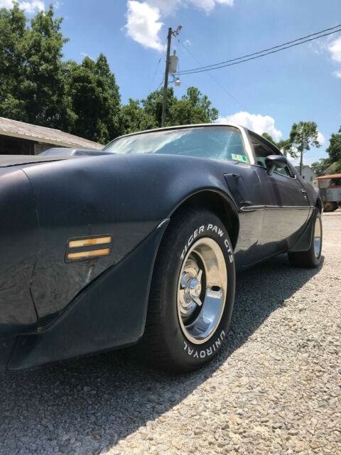 1979 Pontiac Trans Am - photo 9