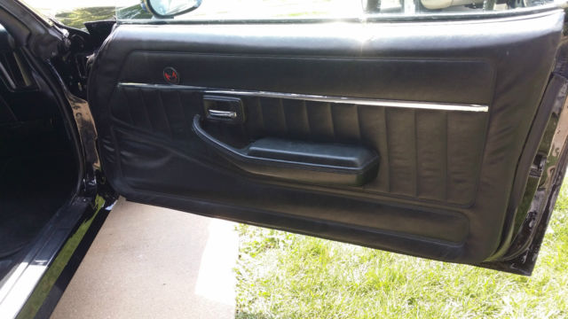 1979 Pontiac Trans Am TA - photo 12
