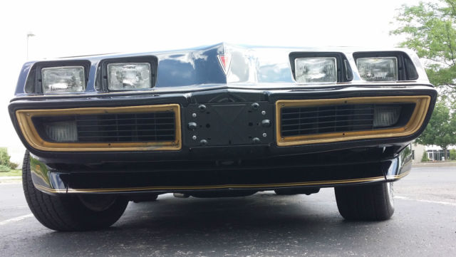 1979 Pontiac Trans Am TA - photo 6
