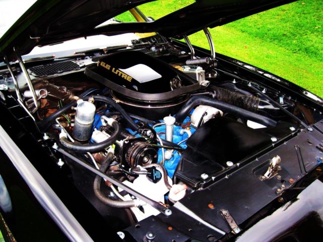 1979 Pontiac Trans Am - photo 12