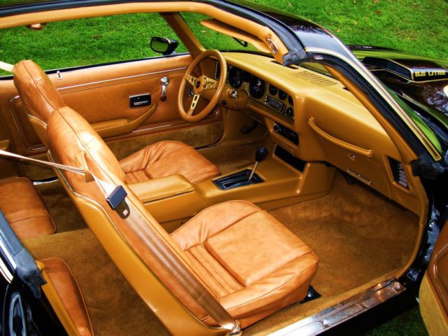 1979 Pontiac Trans Am - photo 13