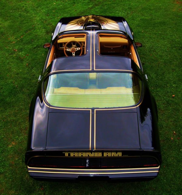1979 Pontiac Trans Am - photo 2