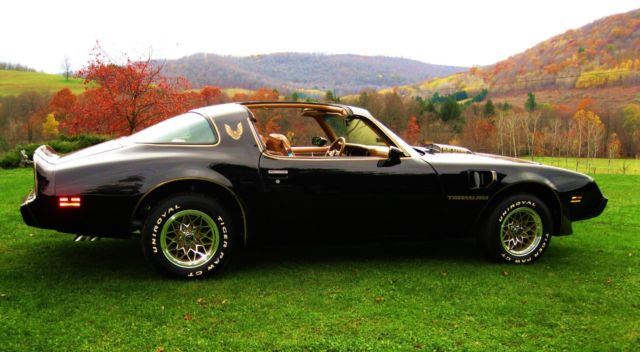 1979 Pontiac Trans Am - photo 3