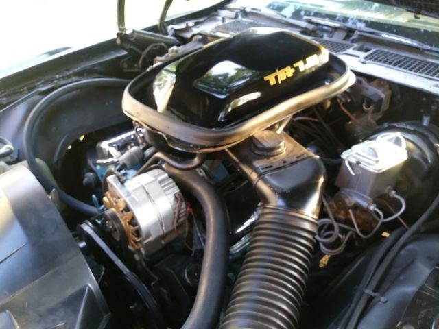 1979 Pontiac Firebird SPECIAL EDITON - photo 10