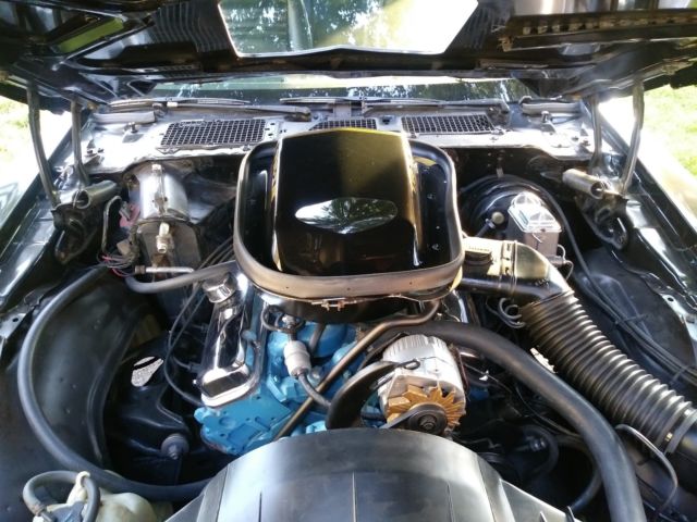 1979 Pontiac Firebird SPECIAL EDITON - photo 13